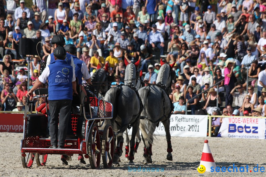 Hengstparade-Marbach-2011-011011-Bodensee-Community-SEECHAT_DE-IMG_1339.JPG