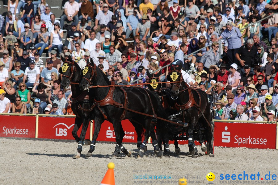 Hengstparade-Marbach-2011-011011-Bodensee-Community-SEECHAT_DE-IMG_1340.JPG