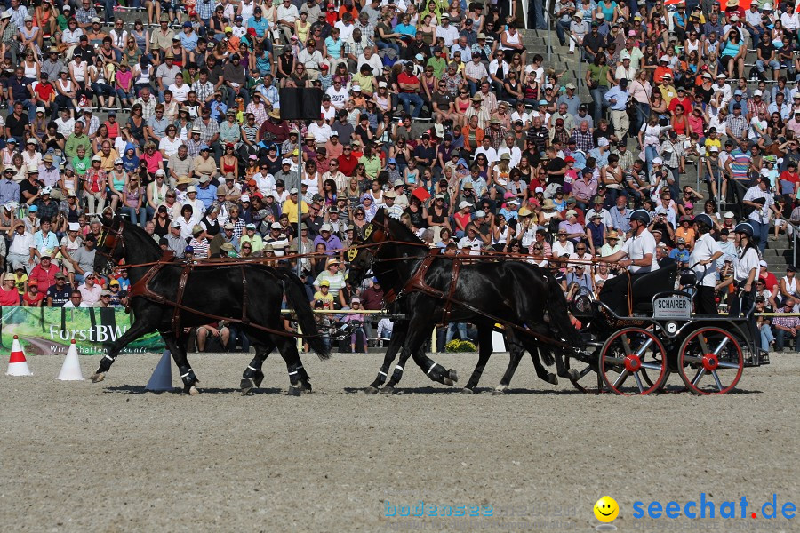 Hengstparade-Marbach-2011-011011-Bodensee-Community-SEECHAT_DE-IMG_1341.JPG