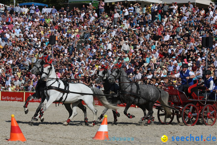 Hengstparade-Marbach-2011-011011-Bodensee-Community-SEECHAT_DE-IMG_1342.JPG