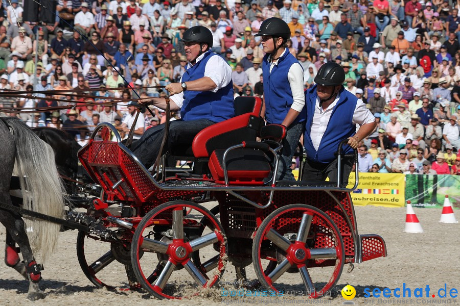 Hengstparade-Marbach-2011-011011-Bodensee-Community-SEECHAT_DE-IMG_1348.JPG