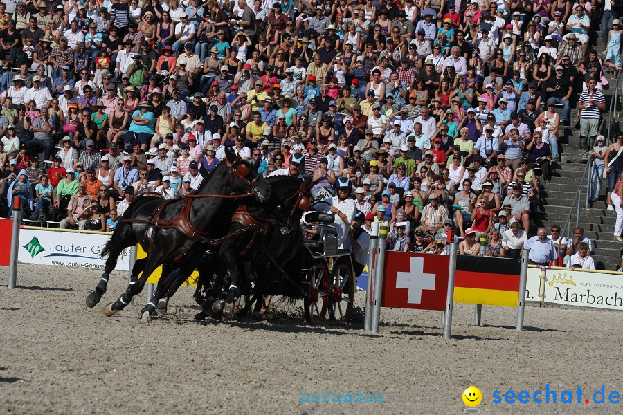 Hengstparade-Marbach-2011-011011-Bodensee-Community-SEECHAT_DE-IMG_1350.JPG