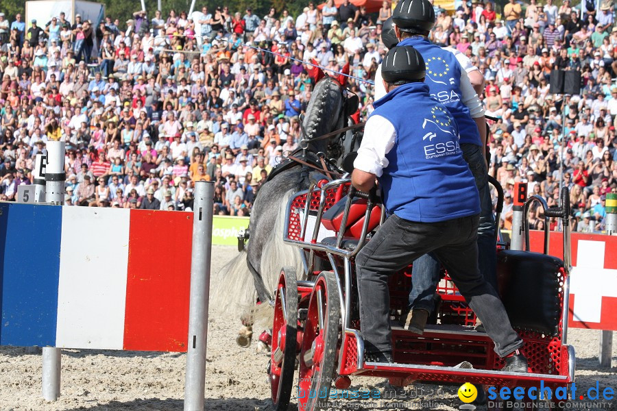 Hengstparade-Marbach-2011-011011-Bodensee-Community-SEECHAT_DE-IMG_1351.JPG