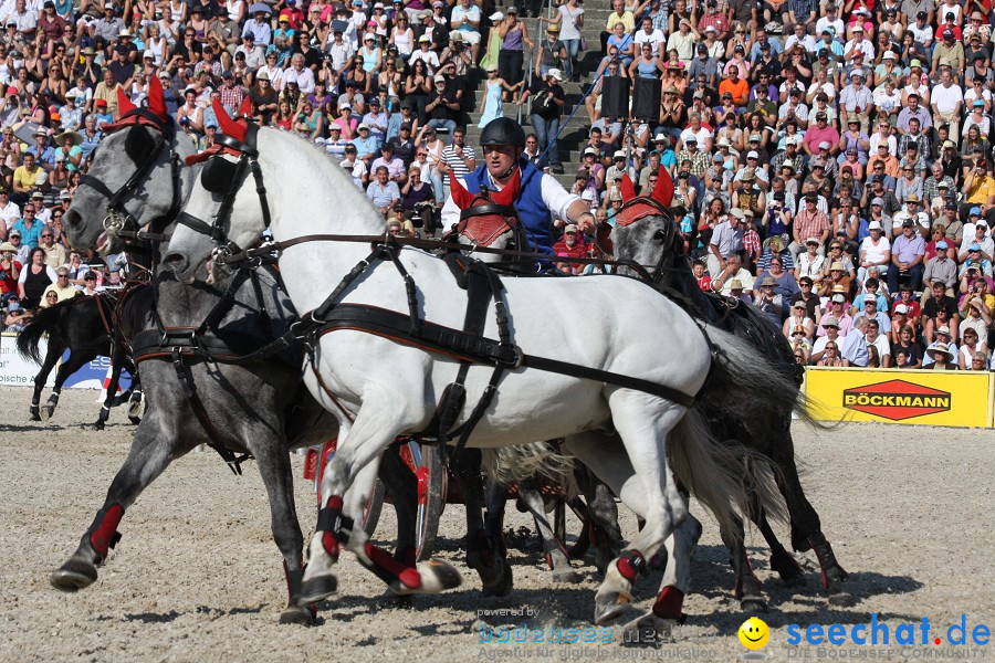 Hengstparade-Marbach-2011-011011-Bodensee-Community-SEECHAT_DE-IMG_1353.JPG