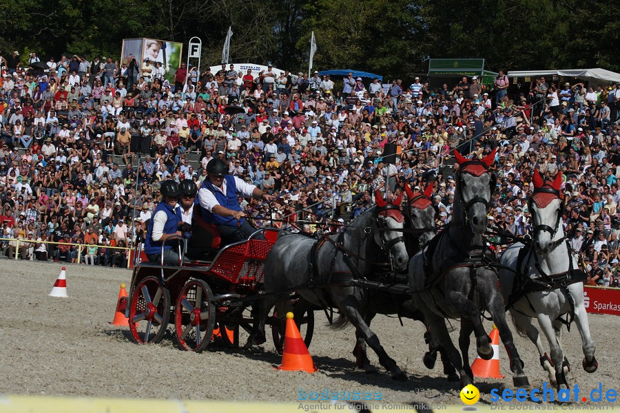 Hengstparade-Marbach-2011-011011-Bodensee-Community-SEECHAT_DE-IMG_1355.JPG