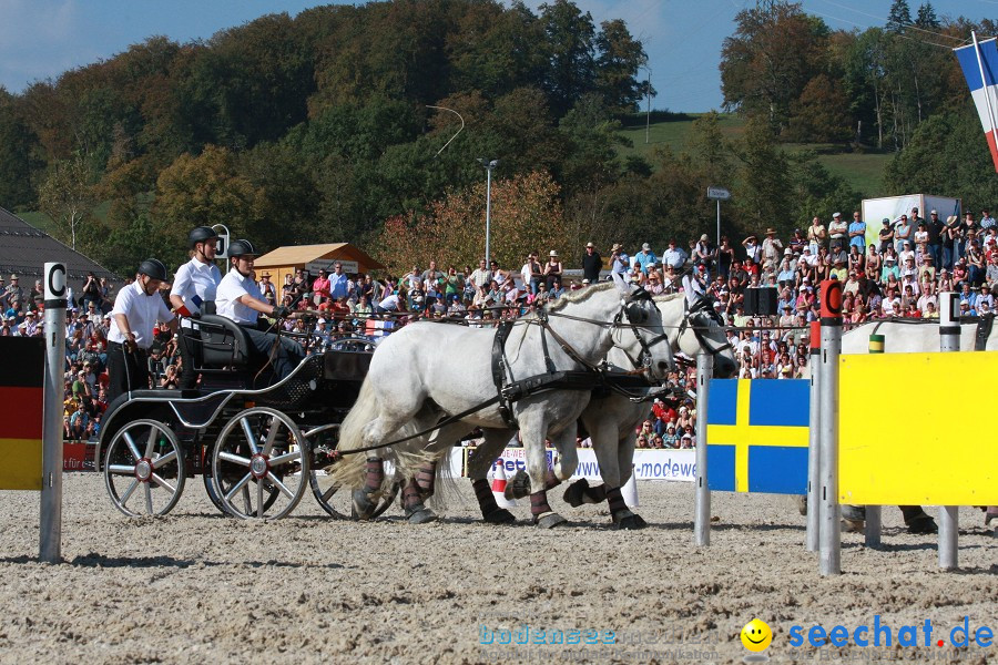 Hengstparade-Marbach-2011-011011-Bodensee-Community-SEECHAT_DE-IMG_1363.JPG