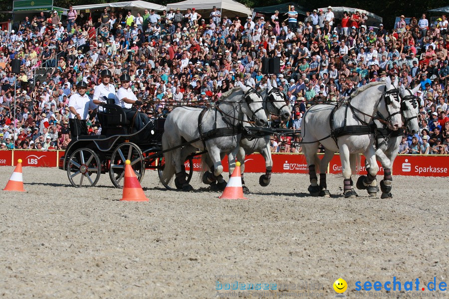 Hengstparade-Marbach-2011-011011-Bodensee-Community-SEECHAT_DE-IMG_1366.JPG