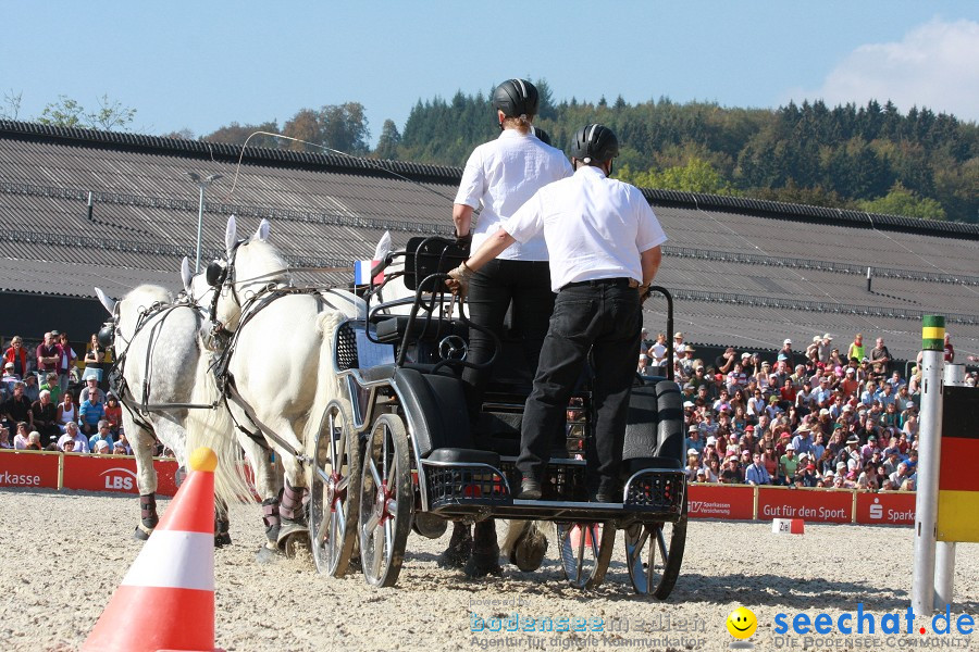 Hengstparade-Marbach-2011-011011-Bodensee-Community-SEECHAT_DE-IMG_1367.JPG