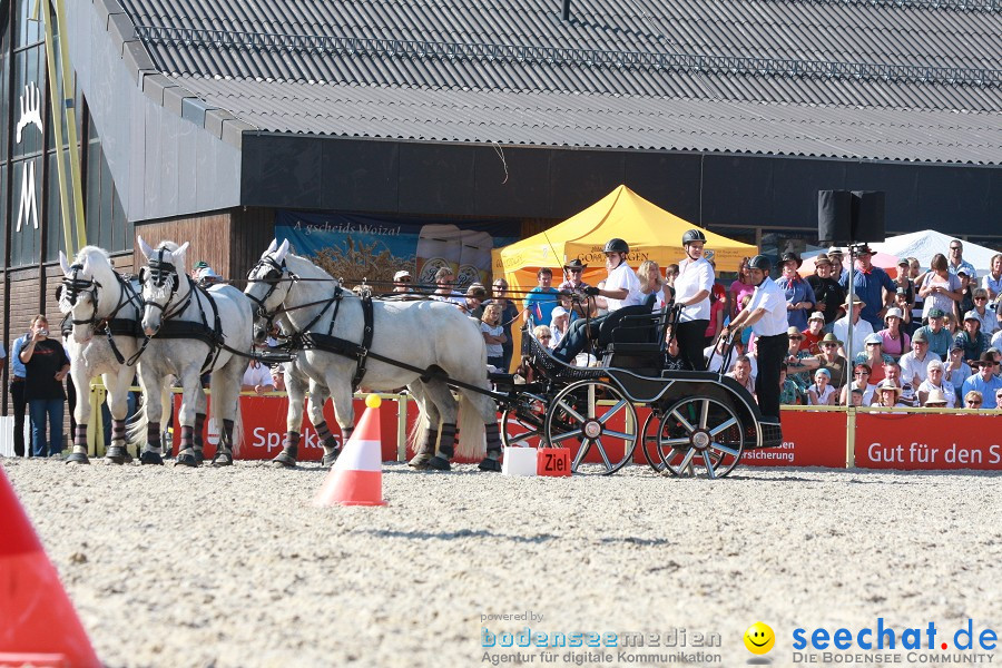 Hengstparade-Marbach-2011-011011-Bodensee-Community-SEECHAT_DE-IMG_1370.JPG