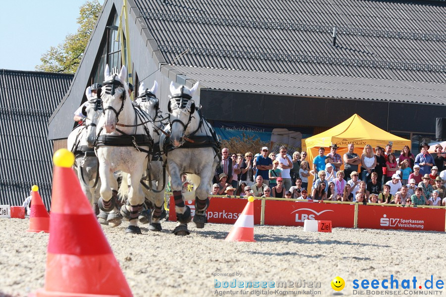 Hengstparade-Marbach-2011-011011-Bodensee-Community-SEECHAT_DE-IMG_1371.JPG