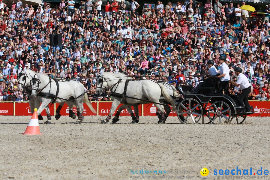 Hengstparade-Marbach-2011-011011-Bodensee-Community-SEECHAT_DE-IMG_1378.JPG