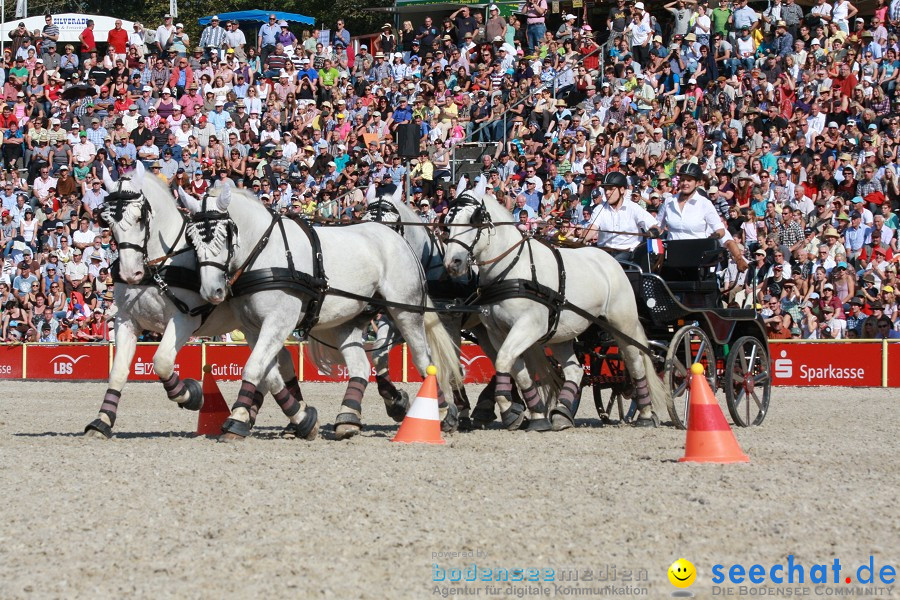 Hengstparade-Marbach-2011-011011-Bodensee-Community-SEECHAT_DE-IMG_1380.JPG