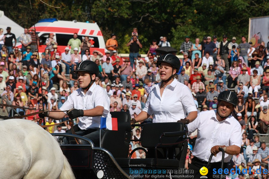 Hengstparade-Marbach-2011-011011-Bodensee-Community-SEECHAT_DE-IMG_1382.JPG