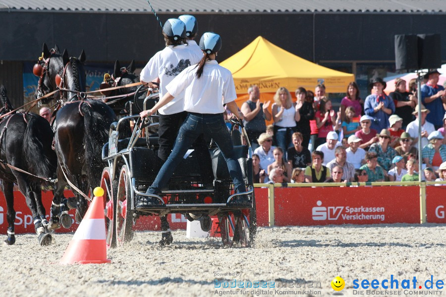 Hengstparade-Marbach-2011-011011-Bodensee-Community-SEECHAT_DE-IMG_1402.JPG