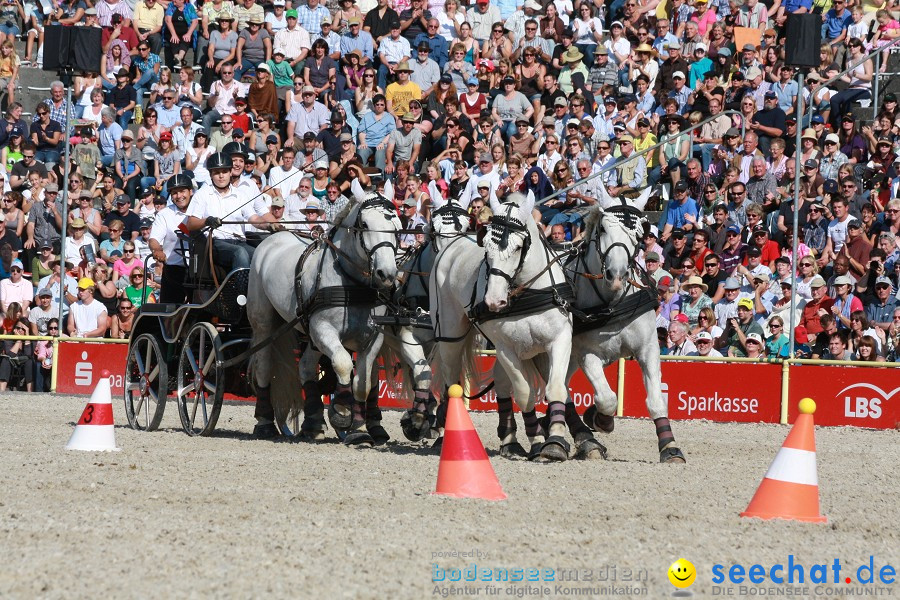 Hengstparade-Marbach-2011-011011-Bodensee-Community-SEECHAT_DE-IMG_1403.JPG