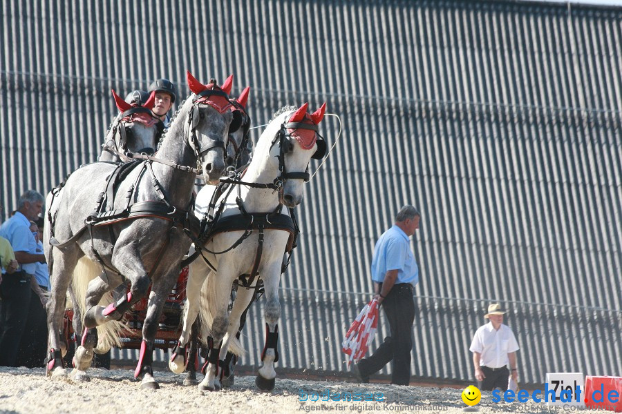 Hengstparade-Marbach-2011-011011-Bodensee-Community-SEECHAT_DE-IMG_1419.JPG