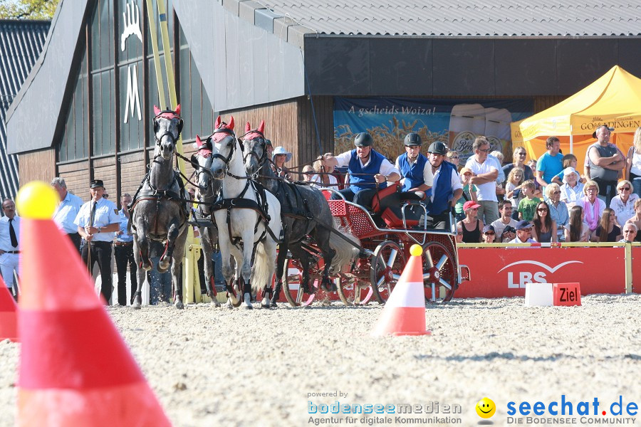 Hengstparade-Marbach-2011-011011-Bodensee-Community-SEECHAT_DE-IMG_1423.JPG