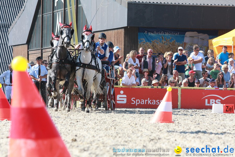 Hengstparade-Marbach-2011-011011-Bodensee-Community-SEECHAT_DE-IMG_1426.JPG