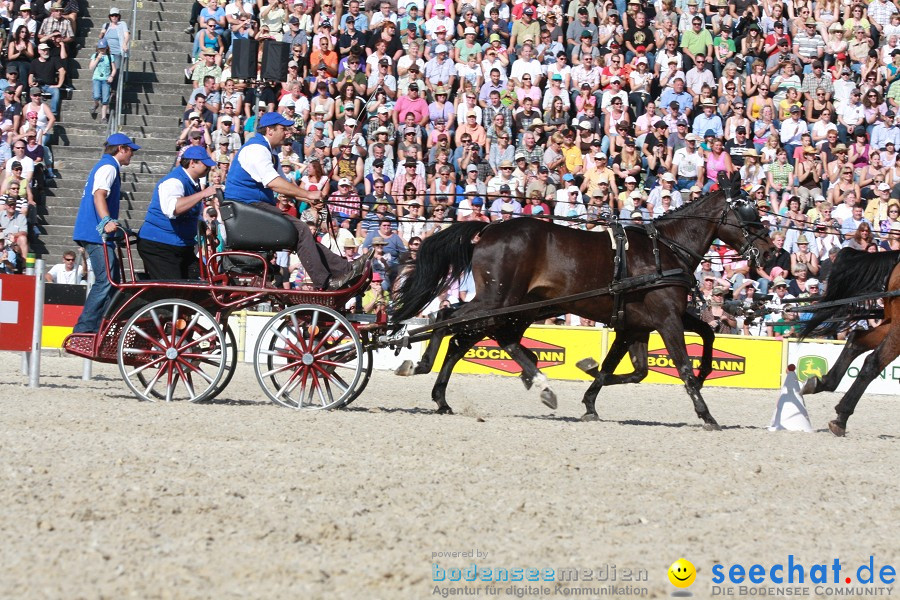 Hengstparade-Marbach-2011-011011-Bodensee-Community-SEECHAT_DE-IMG_1427.JPG