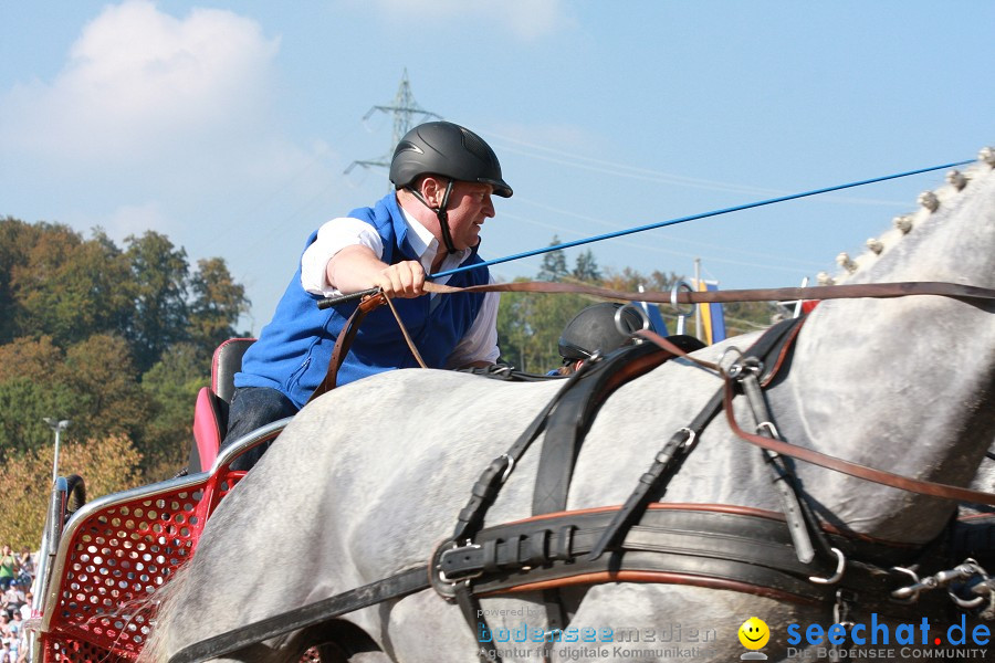 Hengstparade-Marbach-2011-011011-Bodensee-Community-SEECHAT_DE-IMG_1432.JPG