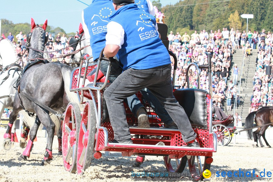 Hengstparade-Marbach-2011-011011-Bodensee-Community-SEECHAT_DE-IMG_1434.JPG