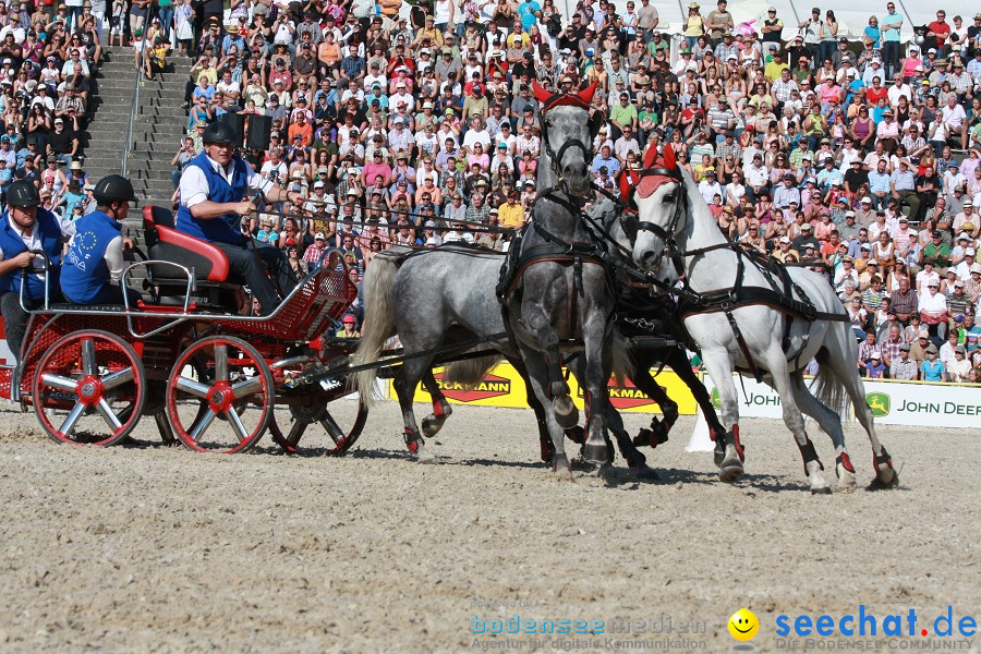 Hengstparade-Marbach-2011-011011-Bodensee-Community-SEECHAT_DE-IMG_1435.JPG