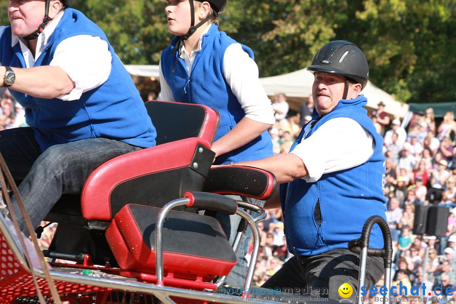 Hengstparade-Marbach-2011-011011-Bodensee-Community-SEECHAT_DE-IMG_1441.JPG