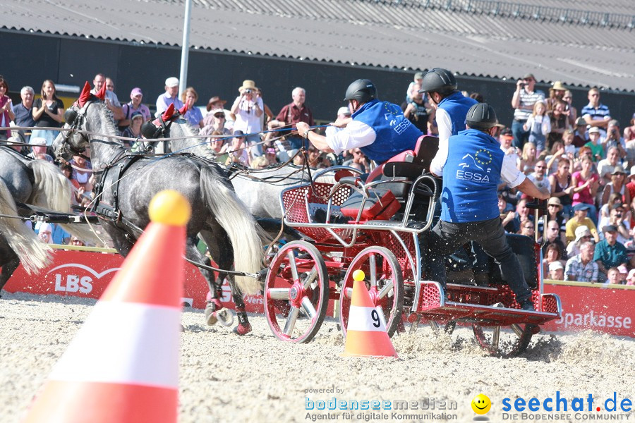 Hengstparade-Marbach-2011-011011-Bodensee-Community-SEECHAT_DE-IMG_1442.JPG