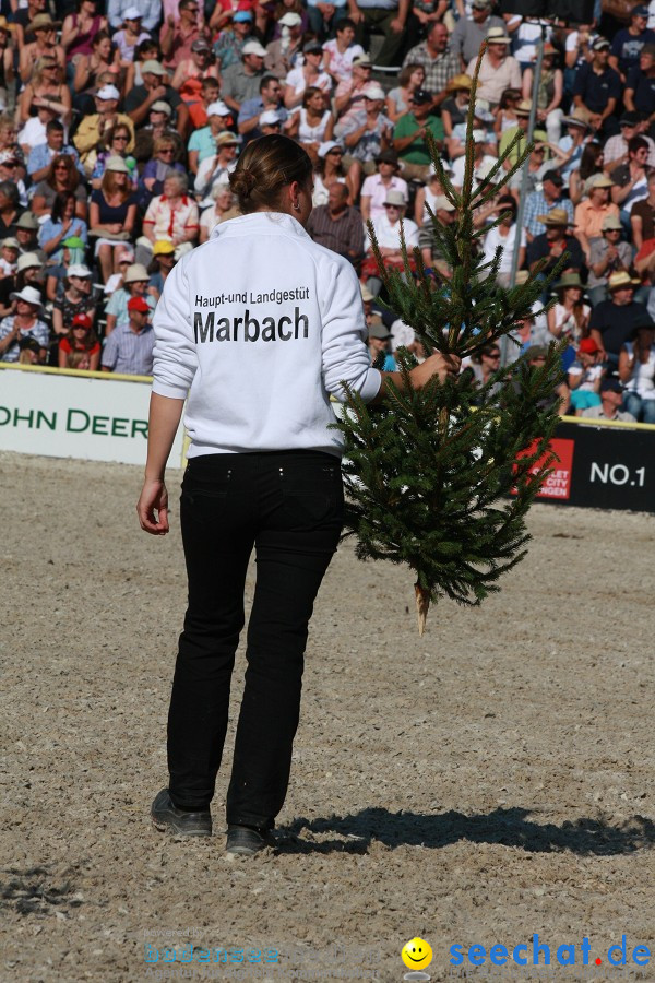 Hengstparade-Marbach-2011-011011-Bodensee-Community-SEECHAT_DE-IMG_1450.JPG