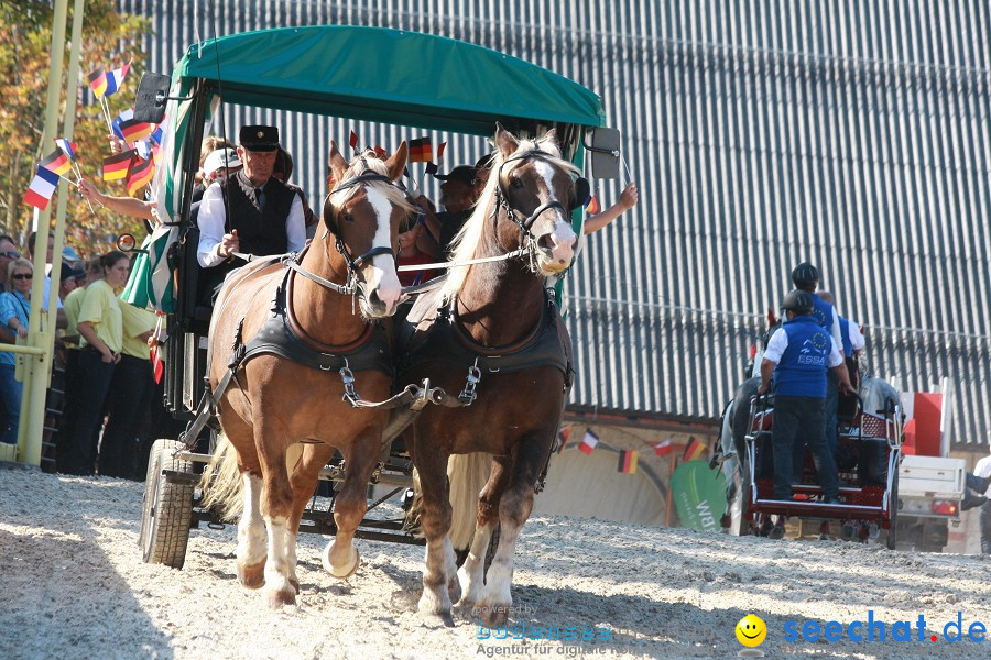 Hengstparade-Marbach-2011-011011-Bodensee-Community-SEECHAT_DE-IMG_1457.JPG