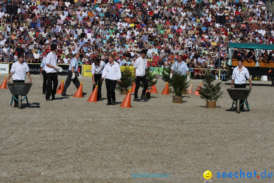 Hengstparade-Marbach-2011-011011-Bodensee-Community-SEECHAT_DE-IMG_1485.JPG