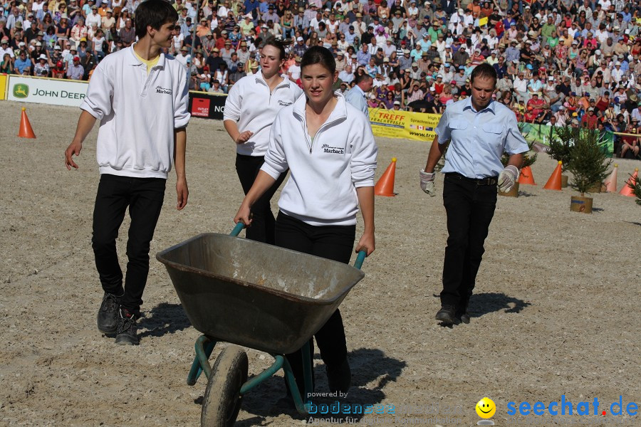 Hengstparade-Marbach-2011-011011-Bodensee-Community-SEECHAT_DE-IMG_1487.JPG