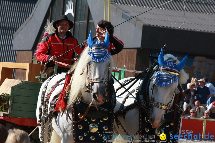 Hengstparade-Marbach-2011-011011-Bodensee-Community-SEECHAT_DE-IMG_1525.JPG