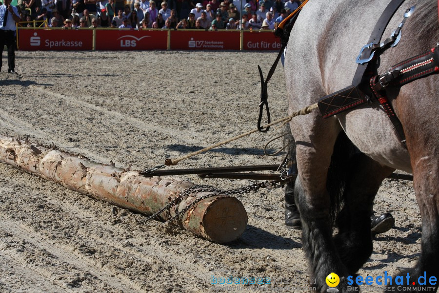 Hengstparade-Marbach-2011-011011-Bodensee-Community-SEECHAT_DE-IMG_1532.JPG