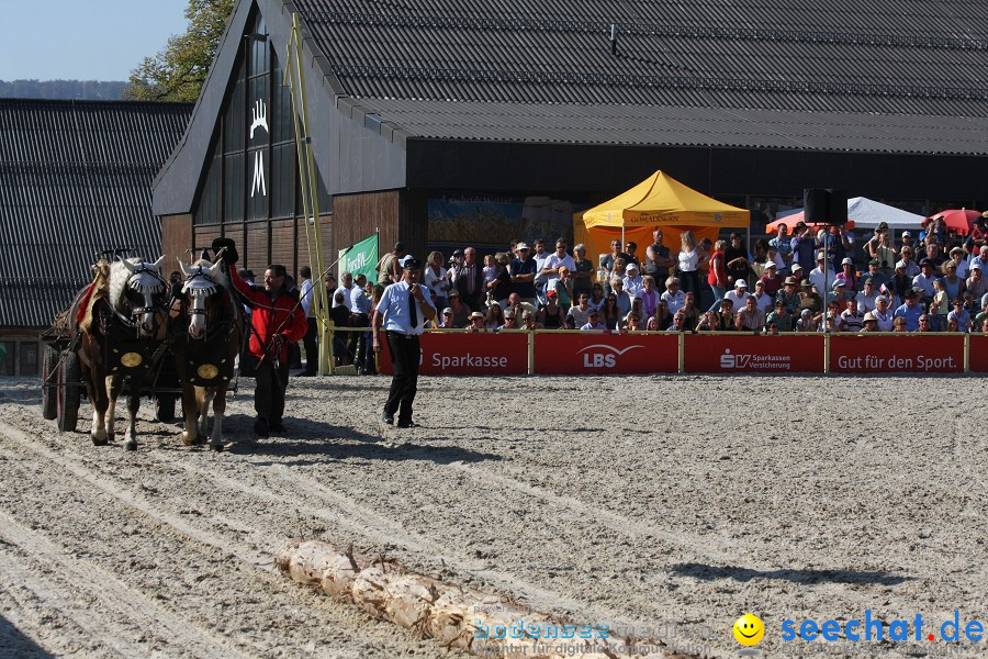 Hengstparade-Marbach-2011-011011-Bodensee-Community-SEECHAT_DE-IMG_1536.JPG