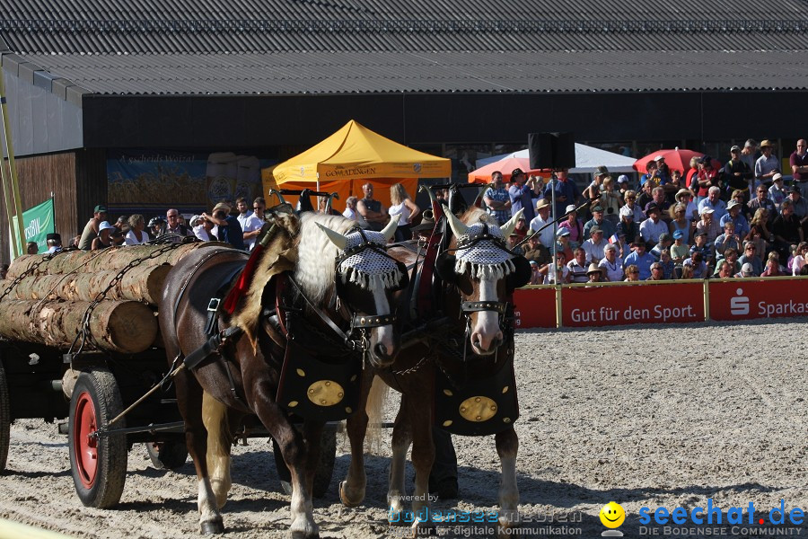 Hengstparade-Marbach-2011-011011-Bodensee-Community-SEECHAT_DE-IMG_1537.JPG