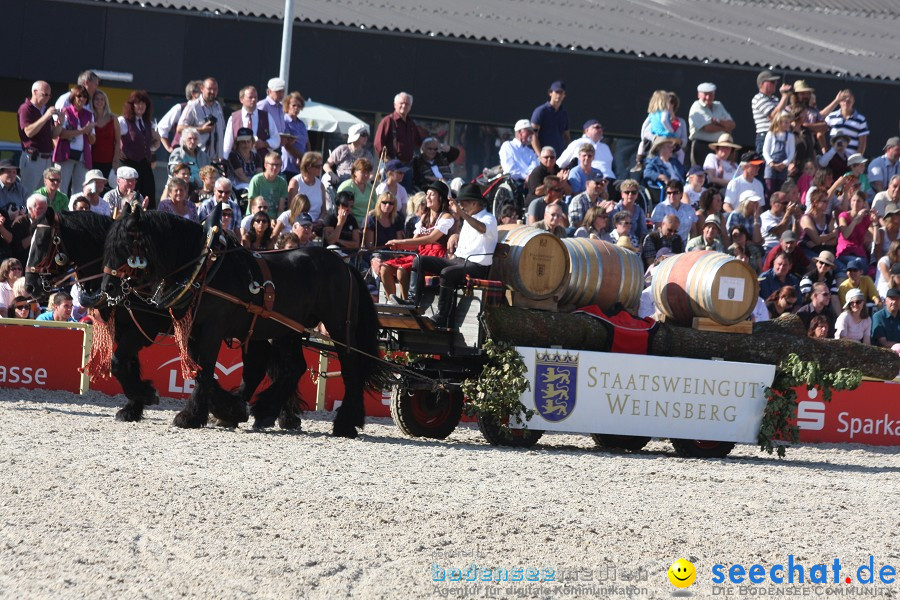 Hengstparade-Marbach-2011-011011-Bodensee-Community-SEECHAT_DE-IMG_1539.JPG