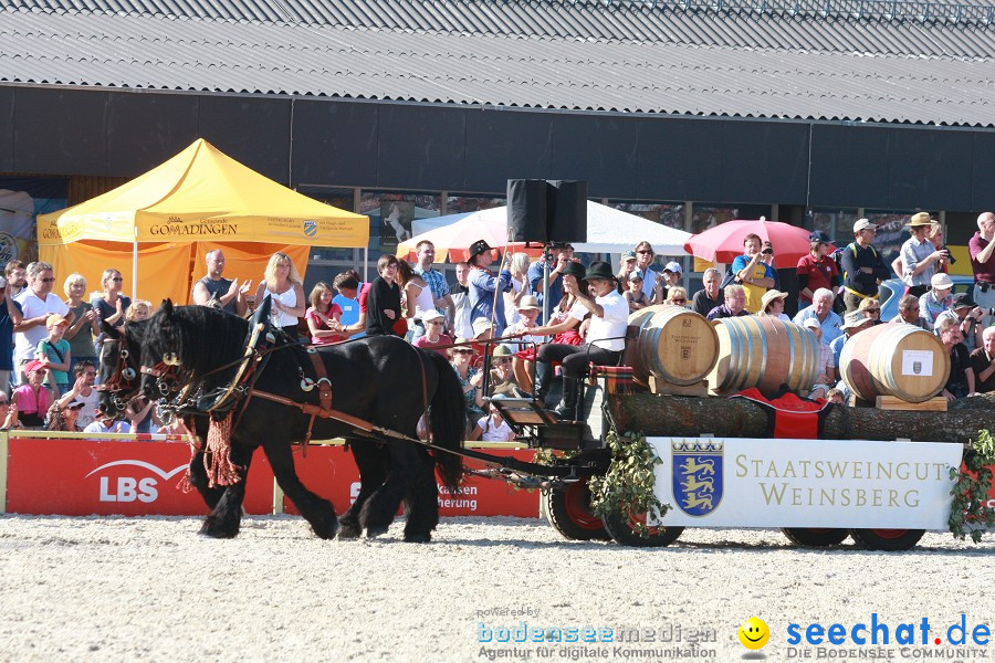 Hengstparade-Marbach-2011-011011-Bodensee-Community-SEECHAT_DE-IMG_1541.JPG