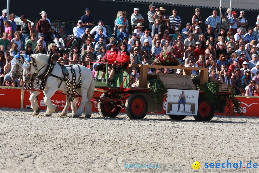 Hengstparade-Marbach-2011-011011-Bodensee-Community-SEECHAT_DE-IMG_1543.JPG