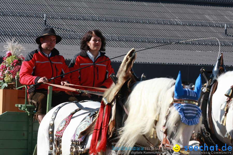 Hengstparade-Marbach-2011-011011-Bodensee-Community-SEECHAT_DE-IMG_1552.JPG