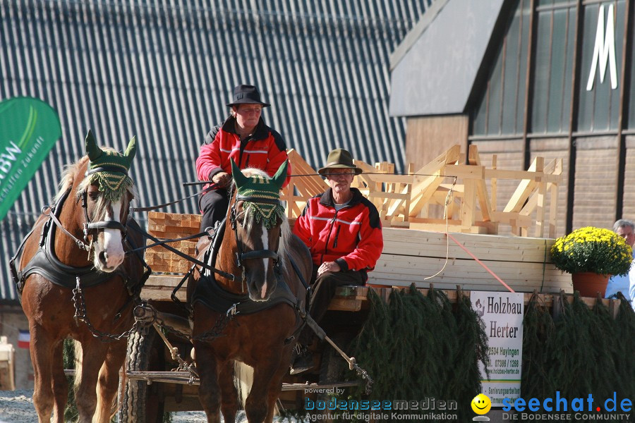 Hengstparade-Marbach-2011-011011-Bodensee-Community-SEECHAT_DE-IMG_1554.JPG