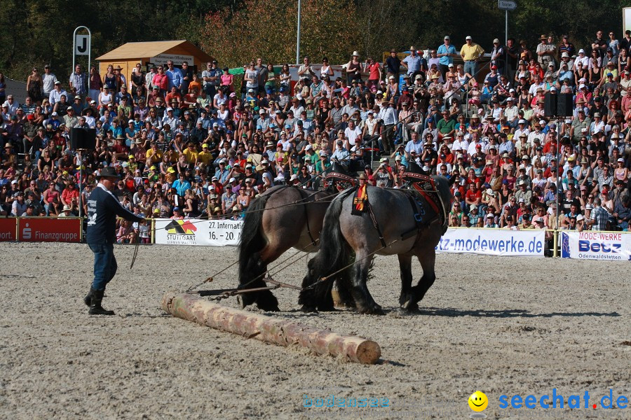 Hengstparade-Marbach-2011-011011-Bodensee-Community-SEECHAT_DE-IMG_1557.JPG