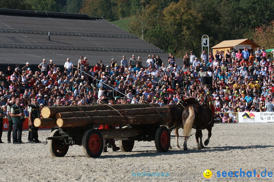 Hengstparade-Marbach-2011-011011-Bodensee-Community-SEECHAT_DE-IMG_1558.JPG