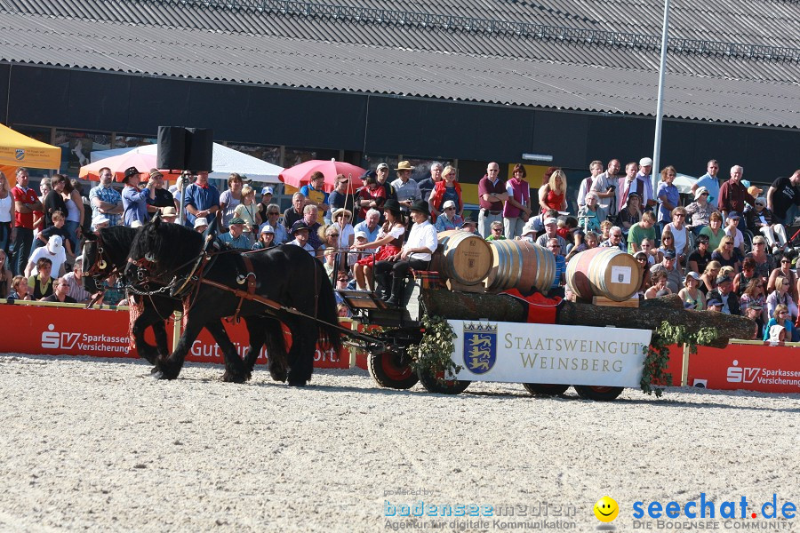 Hengstparade-Marbach-2011-011011-Bodensee-Community-SEECHAT_DE-IMG_1563.JPG