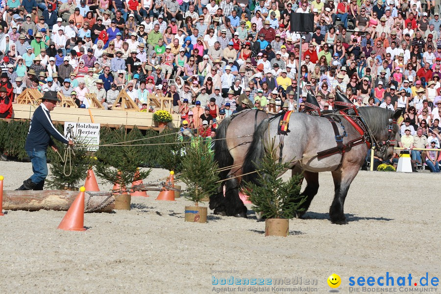 Hengstparade-Marbach-2011-011011-Bodensee-Community-SEECHAT_DE-IMG_1565.JPG