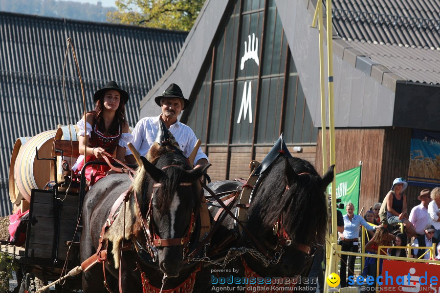 Hengstparade-Marbach-2011-011011-Bodensee-Community-SEECHAT_DE-IMG_1566.JPG