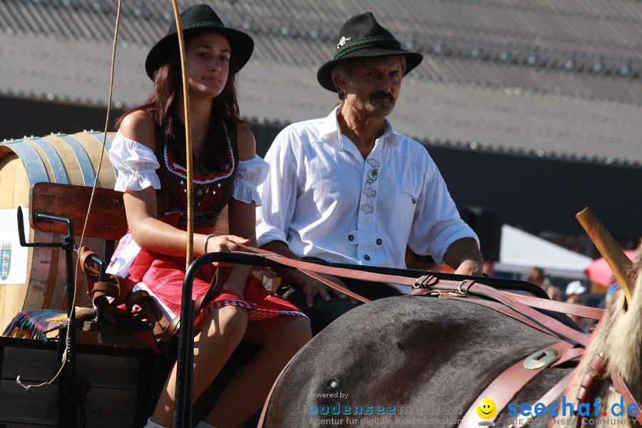 Hengstparade-Marbach-2011-011011-Bodensee-Community-SEECHAT_DE-IMG_1568.JPG