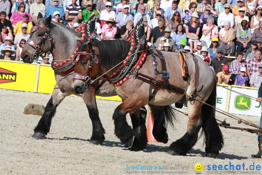 Hengstparade-Marbach-2011-011011-Bodensee-Community-SEECHAT_DE-IMG_1574.JPG