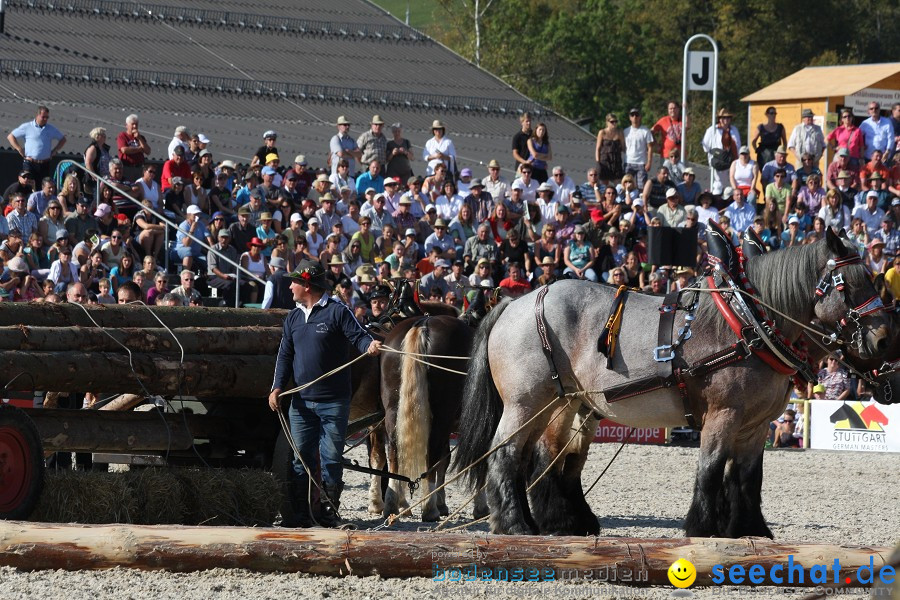 Hengstparade-Marbach-2011-011011-Bodensee-Community-SEECHAT_DE-IMG_1587.JPG