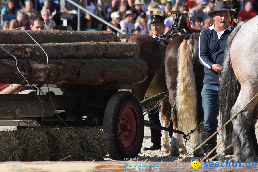 Hengstparade-Marbach-2011-011011-Bodensee-Community-SEECHAT_DE-IMG_1589.JPG